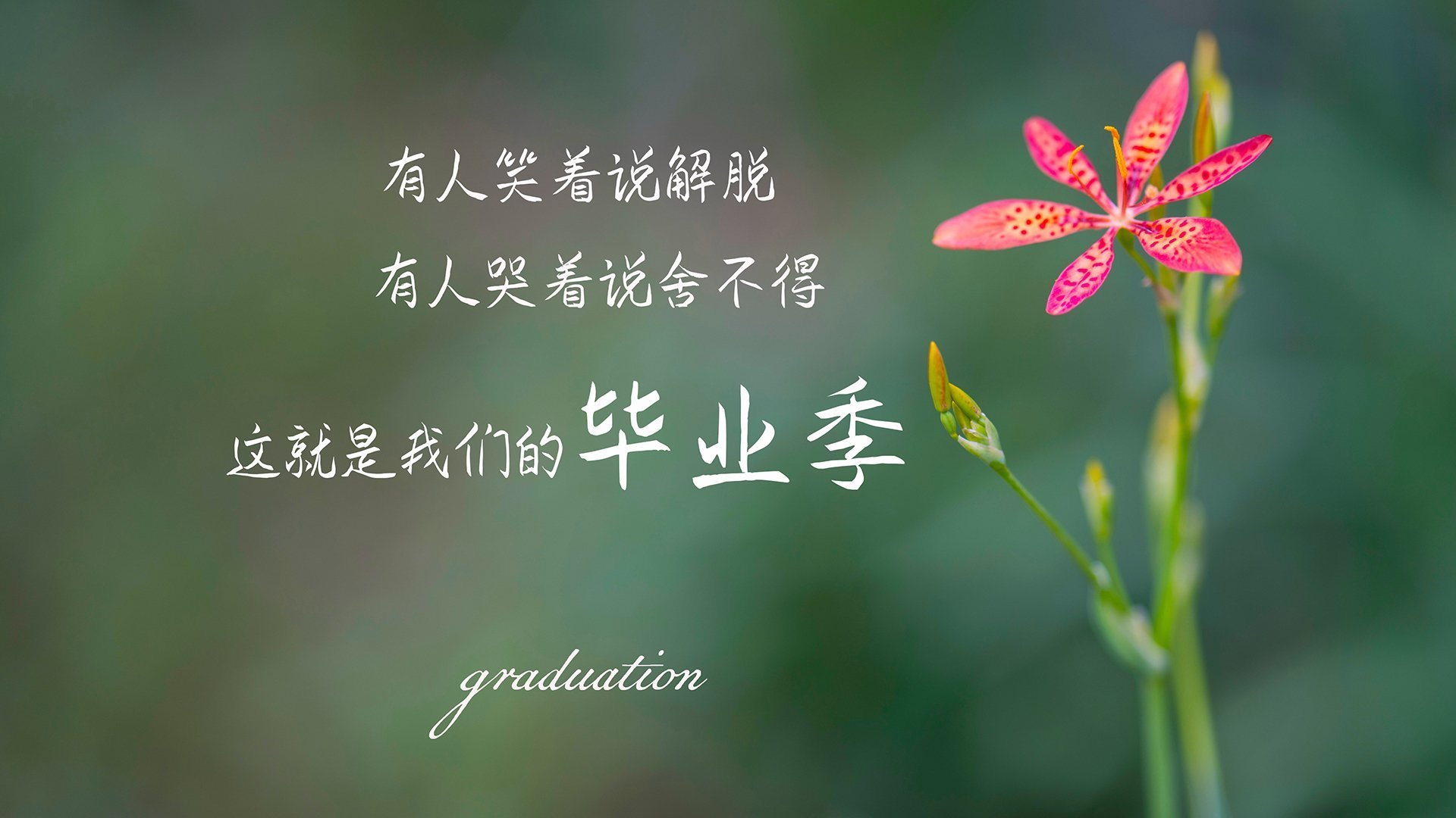 开云体育在线-加维制霸全场！南非险胜苏格兰，核心中场无愧MVP